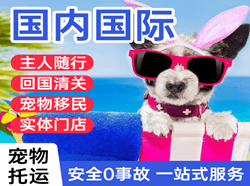 铜仁凤凰航空物流国际宠物托运 【国